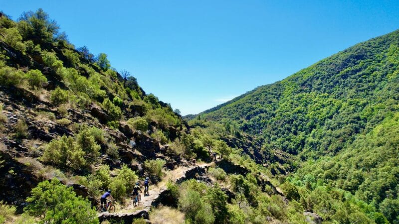 Capture-décran-2022-06-18-à-15.46.06-scaled