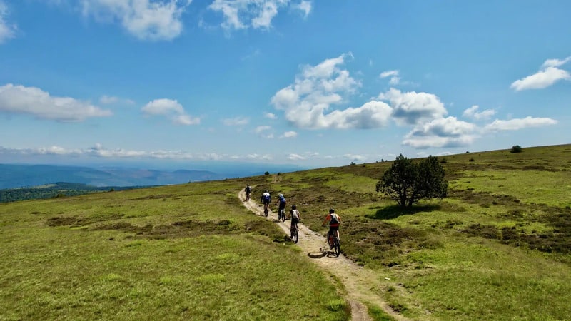 Image-18-06-2022-à-15.36-scaled